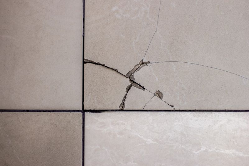 Tile Repair Specialists